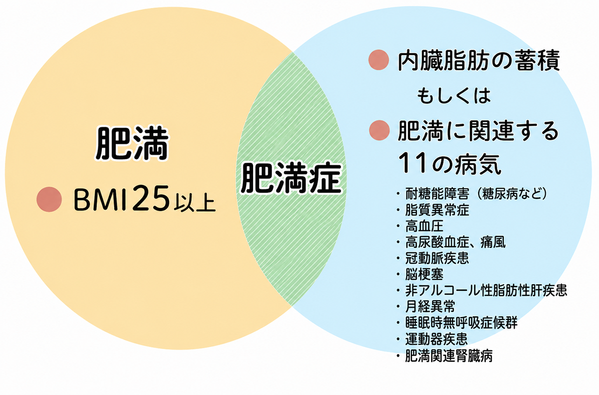 肥満症と内臓脂肪の蓄積、11の病気に関する図解